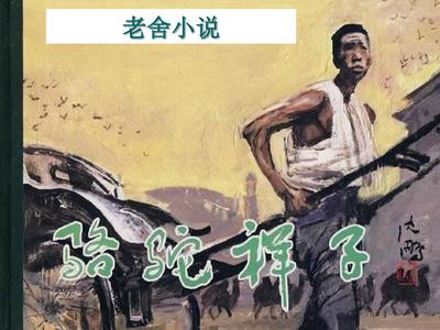 深入了解 四影虎影在线看